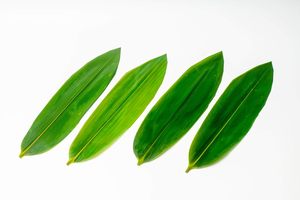 Création de sushi avec des feuilles de bambou vert frais naturel - Product Image 3