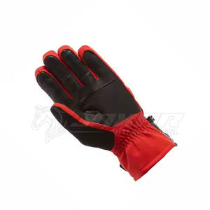 Hombres Guantes de invierno Esquí Snowboard Impermeable Guantes cálidos OEM Suministro directo de fábrica Guantes de esquí - Product Image 6