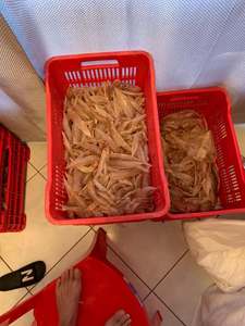 ส่งออกกระเพาะปลาแห้ง - กระเพาะปลา SEABASS จากเวียดนาม - Product Image 3