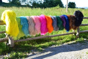 Nhuộm thảm da cừu Iceland. Da cừu len dài tuyệt vời. Da cừu da. Thảm da cừu. Thảm, trang trí nhà - Product Image 3