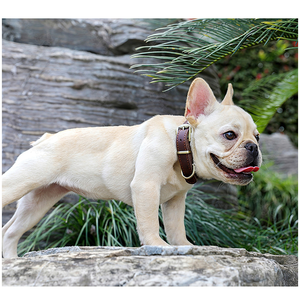 Pet Accessories Small and Large <b>Dog</b> <b>Collar</b> <b>Dog</b> <b>Collar</b> and Leash Set Luxury Metal Leather Personalized Picture Letter - Product Image 5