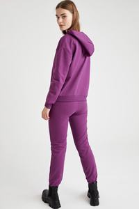 Femmes féminines personnalisé pull Plein à capuche ensemble coton épais polaire survêtement femme survêtement deux pièces survêtement ensemble - Product Image 3