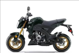 Motocicleta Kawasaki Z 125 PRO Mini y de Bolsillo en Venta - Product Image 5