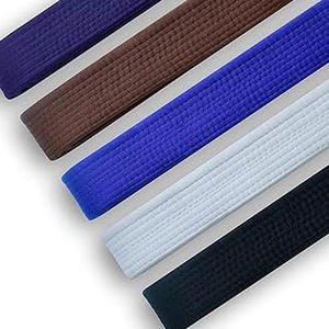 Ceintures d'arts martiaux professionnelles avec logo personnalisé à vendre Ceintures de karaté de Jiu Jitsu uni multicolore vente en gros de Kimono Jiu Jitsu - Product Image 2