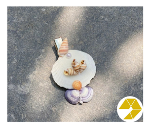 Seashell Hair Clip Ocean Clam Shell Star Crab Claw Style Summer Glow Bulk <b>Offers</b> Seashell Hair Clip Handmade Coastal Vibes Charm - Product Image 2