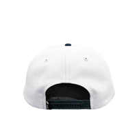 Casquettes de baseball pour chien brodées avec logo personnalisé, non structurées, bicolores, à visière bleue, style snapback, pour activités de plein air, streetwear, haute qualité