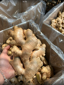 ขิงสดคุณภาพสูงขนาด150กรัมมีจำหน่ายในปริมาณมากในราคาที่ประตูฟาร์มจากเวียดนาม - Product Image 3
