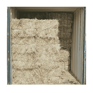 Riz brisé de qualité supérieure : Solutions d'exportation de haute qualité pour les marchés mondiaux - Product Image 6