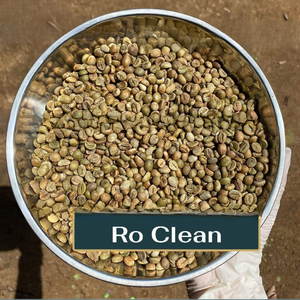 Raw <b>Robusta</b> <b>Coffee</b> <b>Beans</b> Natural Process S16/S18 - Export Quality Suitable For Roasting Origin Vietnam - Product Image 2