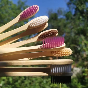Vente en gros Sushanta Naturals pour brosse à dents charbon de bois souple jetable pour dents sensibles enfants adultes respectueux de l'environnement - Product Image 1