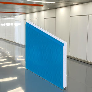 Panneaux sandwich en EPS PREXS légers, revêtement métallique moderne, résistants à l'eau, pour murs extérieurs, économie d'énergie, pour bâtiments préfabriqués modulaires civils - Product Image 1