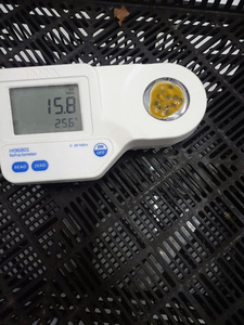 Vente en gros Purée de fruits de la passion surgelée en vrac - Product Image 3