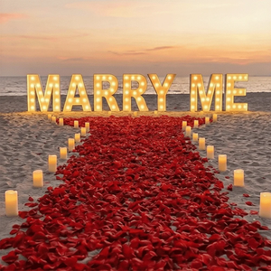 ดอกไม้ประดิษฐ์แบบผ้าไหมเหมือนจริง 100-5000 ชิ้น กลีบกุหลาบผ้าสำหรับตกแต่งงานแต่งงาน วันวาเลนไทน์ และงานรับปริญญา - Product Image 4