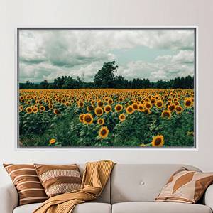 Toile imprimée : Art mural Paysage champêtre de champs de tournesols, encadré or, 1P : encadré blanc - Product Image 1