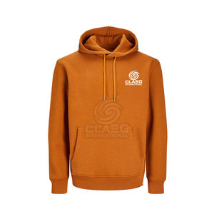 Precio razonable de manga larga Slim Fit Hombres Sudadera con capucha Nuevo estilo informal con logotipo personalizado Hombres Sudaderas con capucha - Product Image 1