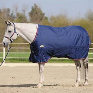 300 GSM Customized Professional Waterproof <b>Horse</b> Rugs for Winter Durable Nylon Comfortable Cotton Padding Outdoor Lightweight - Product Image 3