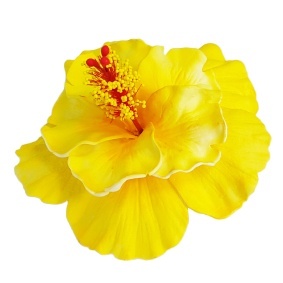 อุปกรณ์เสริมแฟชั่นขายดีตลอดกาลพิมพ์ลายชบาฮาวายโฟม EVA แฮนด์เมดพร้อมลายสักพิเศษ/ไม่เหมือนใคร - Product Image 4