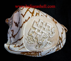 Cymbiola sculpture d'ornement balinais style coquillage BIJOUX Technique brute Sculpture de coquillage avec motif d'ornement et de style d'amour - Product Image 3