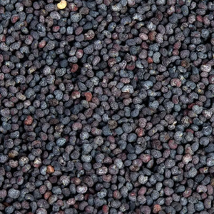 Semillas de amapola mezcladas secas naturales para exportación con alto contenido de nutrientes y sabor, suministro a granel para fabricantes y minoristas de alimentos - Product Image 5