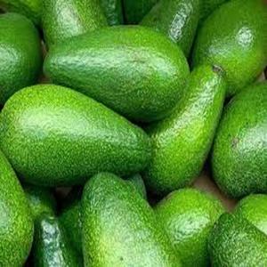 Aguacate Orgánico Hass Congelado de Primera Calidad - Grado Superior 15cm 4kg de España - Product Image 1