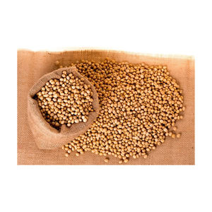 Soja en gros prix bon marché approvisionnement en vrac qualité d'exportation - Product Image 2