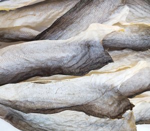 บาซาผิวปลาสำหรับสัตว์เลี้ยงของคุณ | ทางเลือกที่ดีที่สุดสำหรับสัตว์เลี้ยงของคุณ - Product Image 4