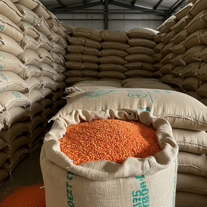 Lentilles séchées biologiques en vrac naturel de qualité supérieure riche en fibres et en nutriments, parfait pour la transformation des aliments, approvisionnement en grande quantité - Product Image 3