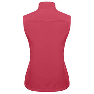 Gilet softshell pour femme, haute qualité, nouvelle arrivée 2025, épais, grande taille, respirant, couleur unie, vêtement d'hiver, coupe-vent, gilet softshell - Product Image 2