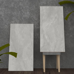 Collection Premier Choix Meilleur Prix Carreaux en Porcelaine Colorés 600X1200mm pour Hôpitaux. - Product Image 1