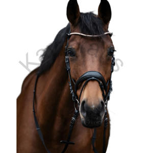 Brida de lujo de cuero negro para Doma con un tocado suavemente acolchado y banda para la nariz elevada - Product Image 2