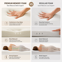 Surmatelas DISIAN moderne en mousse à mémoire de forme haute densité avec un soutien solide et un rebond doux pour lit d'appartement - Meubles de maison