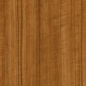 TECA de Japón, CMP 8692 - Product Image 1