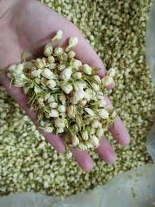 Bourgeons de jasmin séchés comestibles, bourgeons de fleurs entières, emballés, jasmin vietnamien de qualité supérieure - Product Image 3