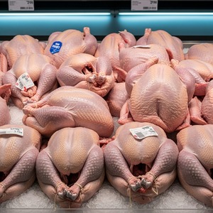 ไม้ตีกลองต้นขาไก่งวงแช่แข็งทั้งตัวพร้อมปีกสำหรับผู้ซื้อทั่วโลก - Product Image 3