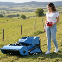 Tondeuse à gazon télécommandée RLD RC-55 la plus vendue, moteur 4 temps 250cc 7HP essence, lame plate, fonction mulching 50mm, monocylindre, DIY