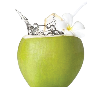 2023 Noix de coco verte fraîche de qualité supérieure exportée du Vietnam Jeune noix de coco avec coque de qualité supérieure - Product Image 1