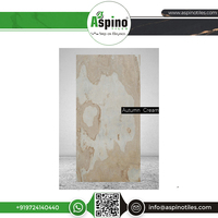 Bloc de pierre naturelle flexible de qualité supérieure pour l'extérieur : idéal pour hôtels modernes, élégants, écologiques et durables, parfait pour les escaliers de salle de bain.