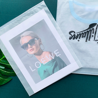 Plastique pour T-Shirt Pvc Shopping Top Curseur Zip Lock Transparent Avec Givré Sacs Couleur Eva Emballage Vêtements Zipper Sac
