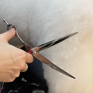 Kit complet de cisailles de toilettage pour animaux de compagnie en acier inoxydable 440C Ciseaux sûrs et pratiques pour les distributeurs - Product Image 4