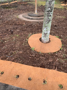 Almohadilla de fibra de coco compostable para protección de raíces de plantas en maceta y estética de jardín de Vietnam 2025 - Product Image 5