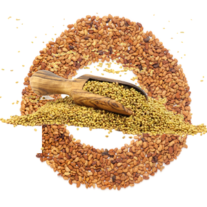 Alfalfa | Cultivado orgánicamente para una nutrición sin químicos - Product Image 2