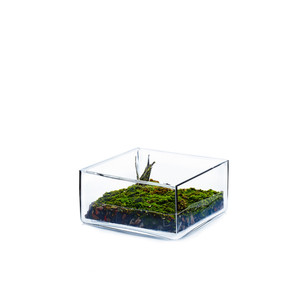 VBV0804 - Square Glass Block <b>Vase</b> - 8 x 4 - Product Image 6