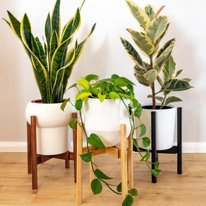 Soporte de madera natural para plantas, accesorio de decoración de jardín, estante de madera de bambú plegable decorativo para patio trasero - Product Image 4