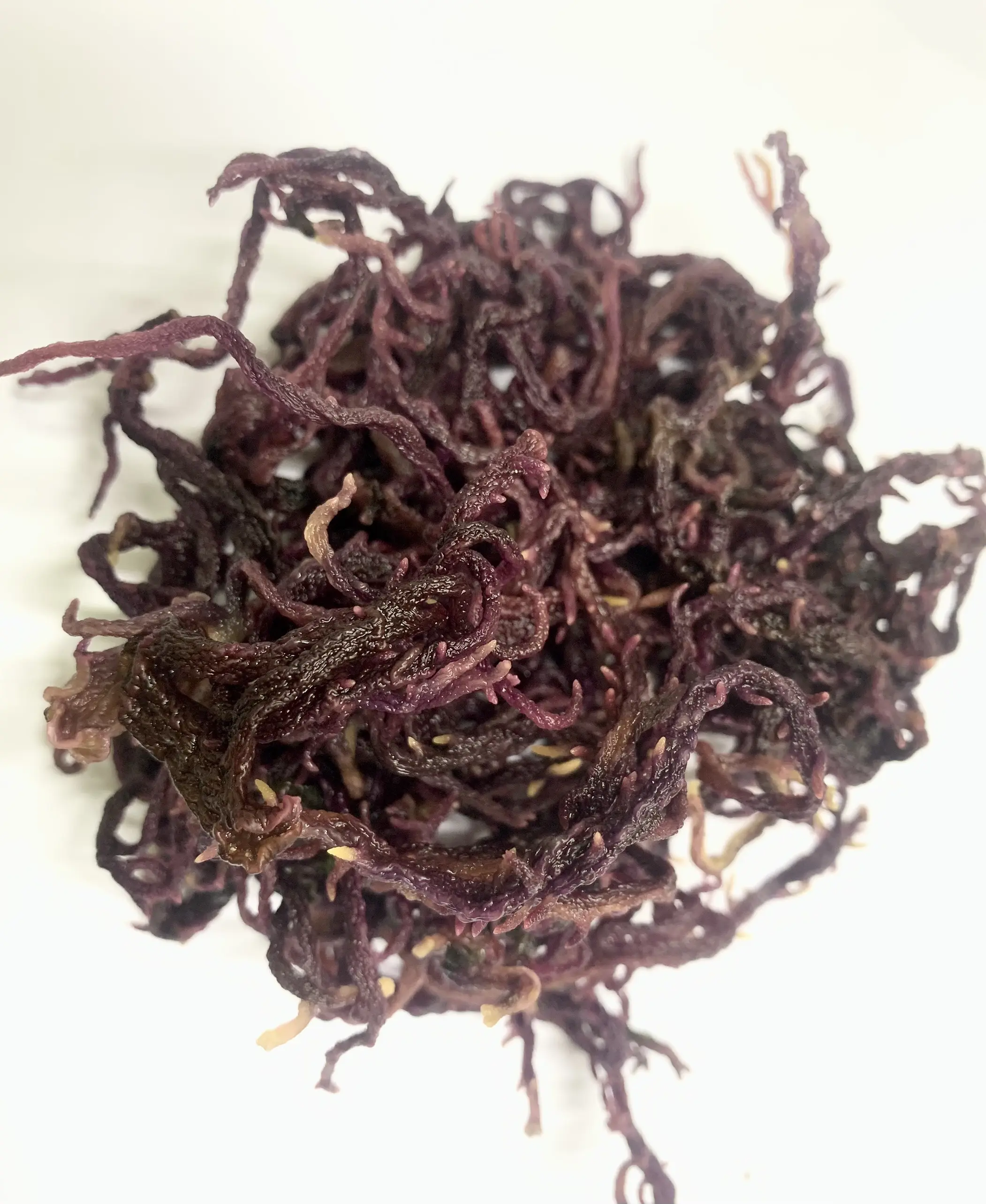 Rumput laut bergaya ungu alami, produk berkualitas dapat digunakan dalam berbagai cara Mary