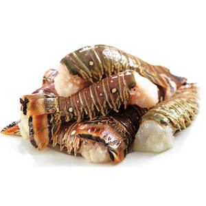 Homard de roche congelé de qualité supérieure Homard épineux tropical Catch sauvage Queue de homard entier Fourniture d'exportation frontale - Product Image 4