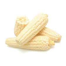 Granos de maíz blanco gigante en venta - Product Image 5