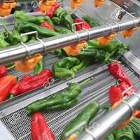 Fabrieksprijs Wortel Vers Fruit Cherry Tomaat Wortel Data Schoonmaak Droogwasmachine Groene Bladgroente Wasmachine Te Koop