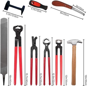 ชุดเครื่องมือช่างเกือกม้าสำหรับงานหนัก Ariston สำหรับดูแลม้าและโค ประกอบด้วย คีมตัดกีบ มีด ตะไบ ค้อน บัฟเฟอร์ ทำจากสแตนเลส - Product Image 4