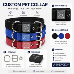 Coleira de Cão de Nylon Personalizada com Logo, Acolchoamento Macio em Neoprene, Fivela de Metal Ajustável, 3 Cores, Acessórios para Animais de Estimação em Atacado - Product Image 6