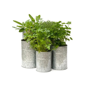 Recién llegado, maceta de Metal galvanizado, Cubo de forma redonda, maceta de flores para jardín, balcón y decoración de Patio - Product Image 3